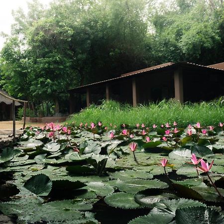 Hampi'S Whiskers Resort Buitenkant foto
