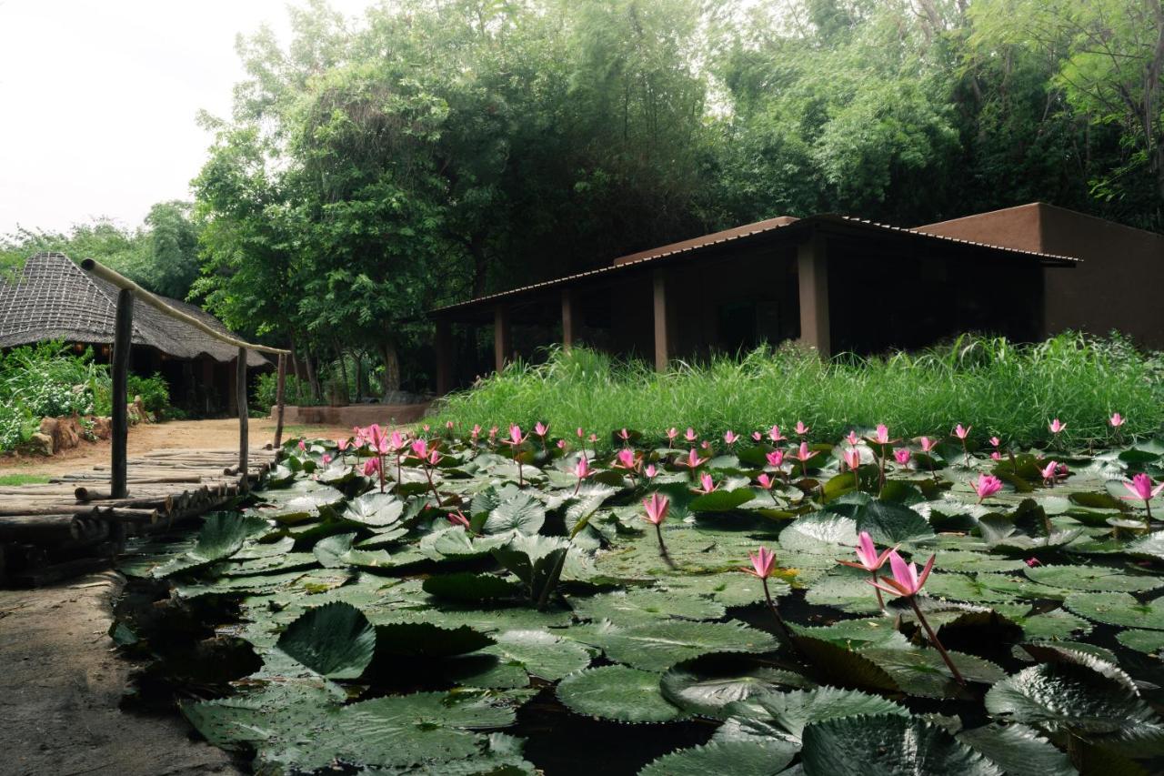 Hampi'S Whiskers Resort Buitenkant foto